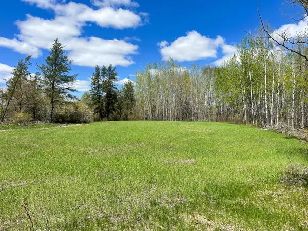 TBD 15th Street Nw, Bemidji, MN 56601