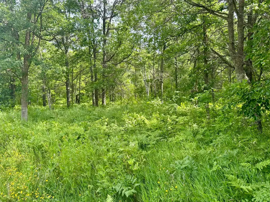 Lot 2 Blk 1 Eagle Drive Nw, Walker, MN 56484 - #3