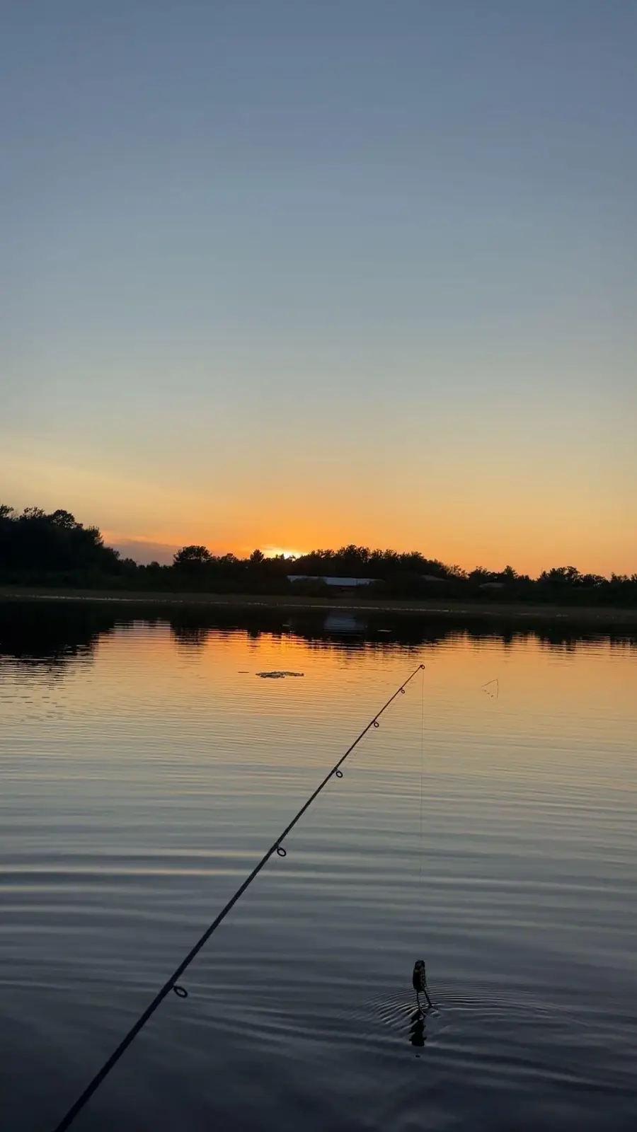 23605 State Highway 18, Deerwood, MN 56444 - #3