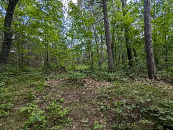 Lot 3 Fosmo, Webster, WI 54893