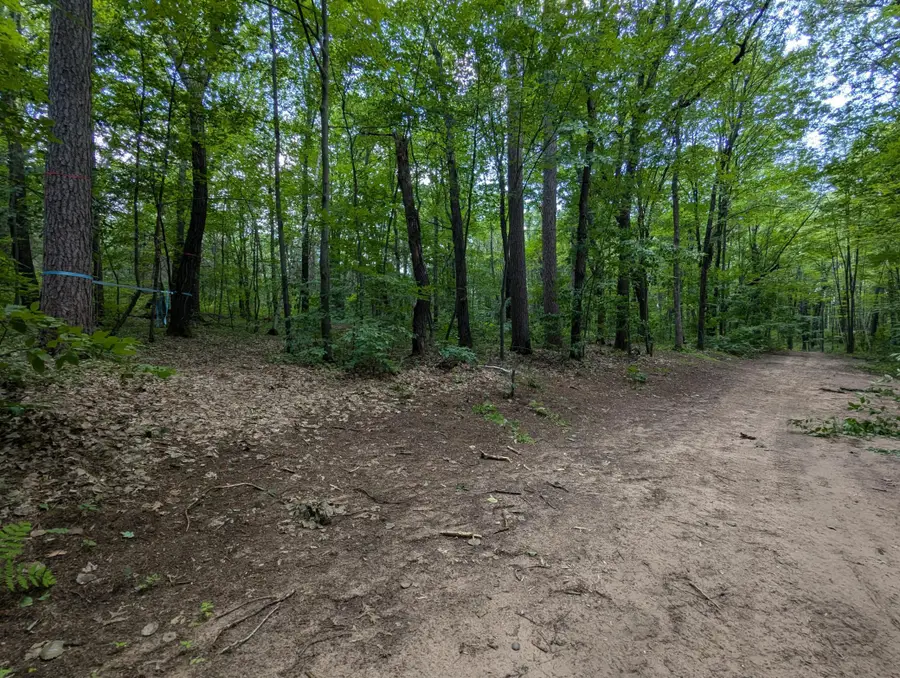 Lot 4 Fosmo, Webster, WI 54893 - #3