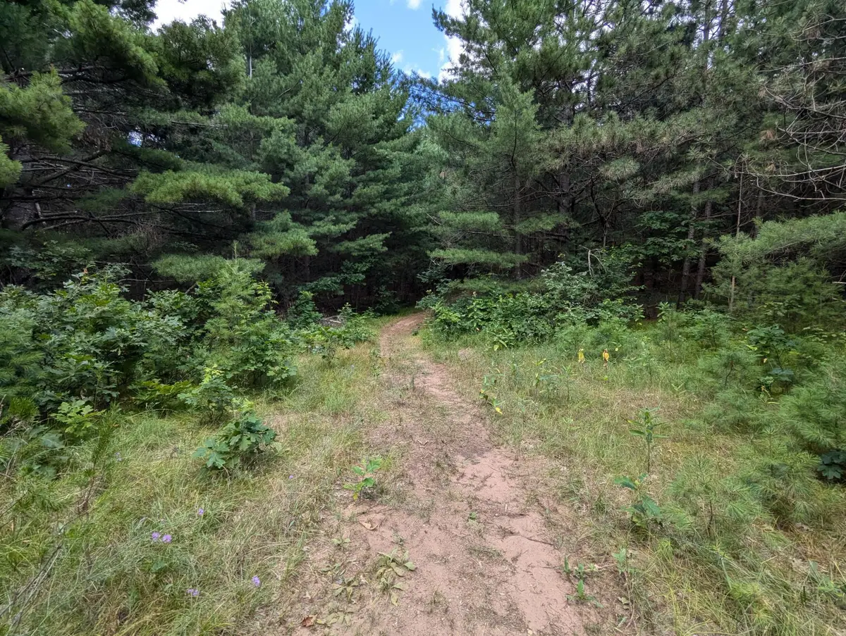 Lot 5 Fosmo, Webster, WI 54893 - #1