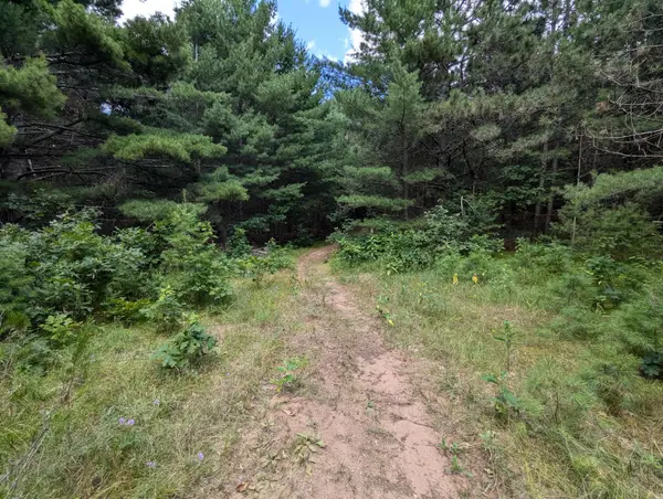 Lot 5 Fosmo, Webster, WI 54893