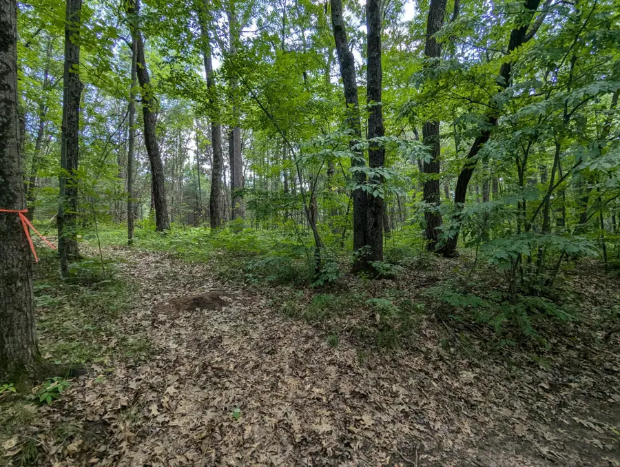 Lot 5 Fosmo, Webster, WI 54893 - #2