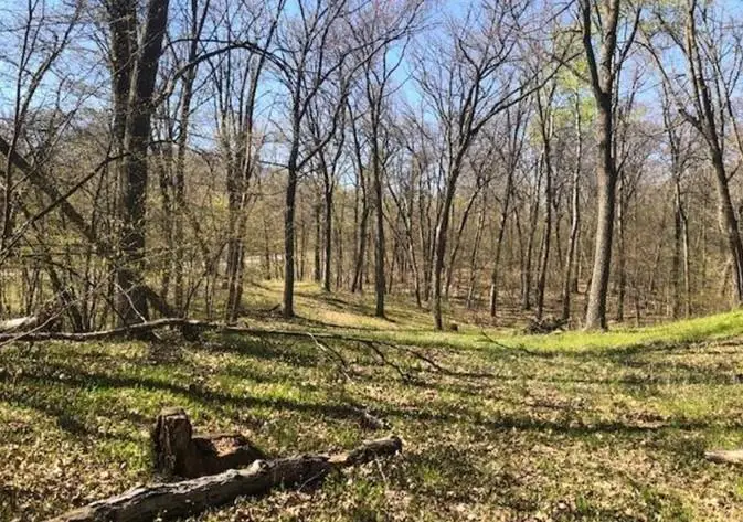 TBD Hidden Oaks Drive Nw, Alexandria, MN 56308 - #2