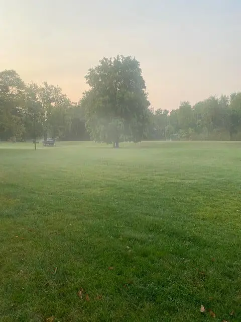 31281 Brightwood Shore Drive, Dent, MN 56528 - #3