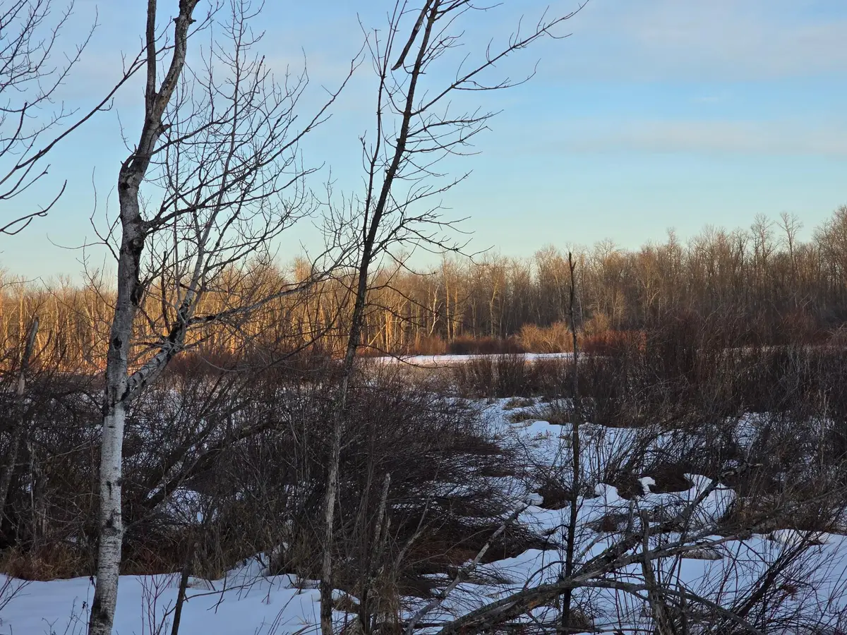 TBD Highway 47, Isle, MN 56342 - #1