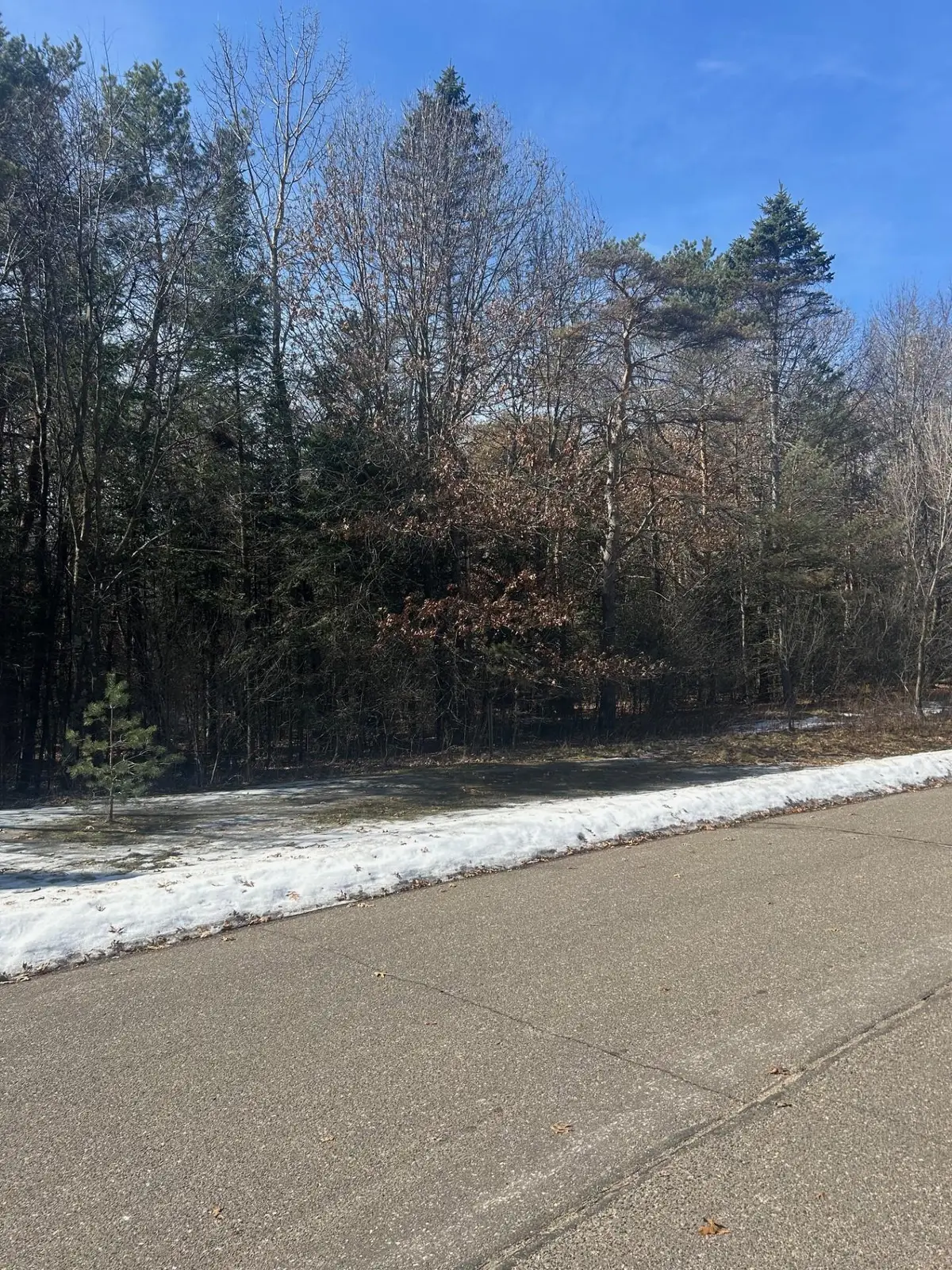 13141 287th Avenue Nw, Zimmerman, MN 55398 - #1