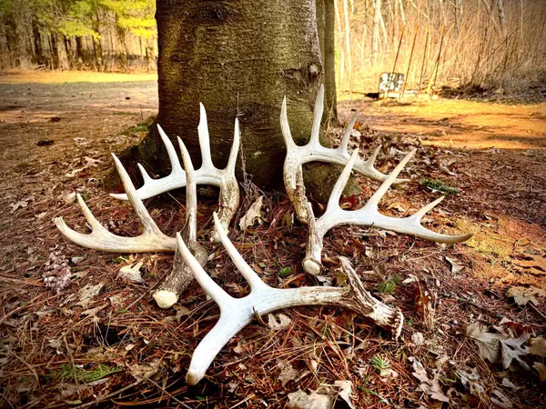 County Road M County Road M, Osceola, WI 54020