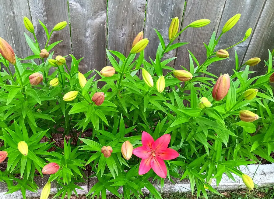 3210 W 110th Street, Bloomington, MN 55431 - #2