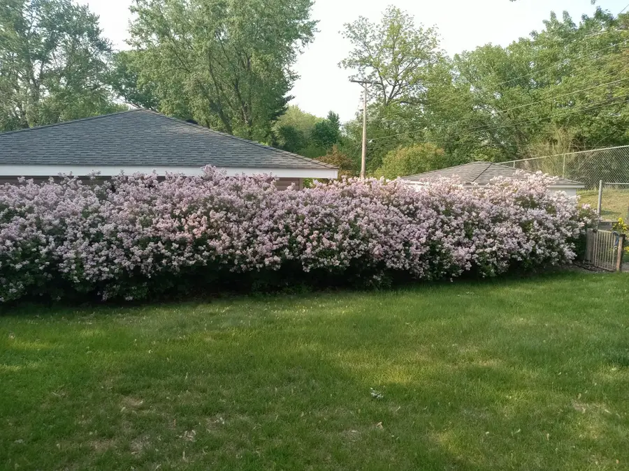 3210 W 110th Street, Bloomington, MN 55431 - #3