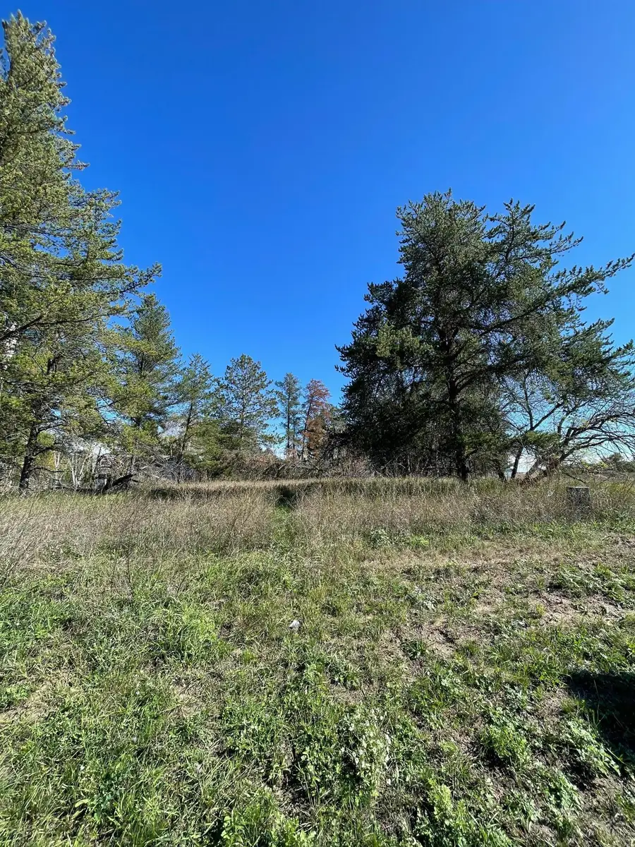 TBD Lot 5 Beartooth Avenue Sw, Bemidji, MN 56601 - #2