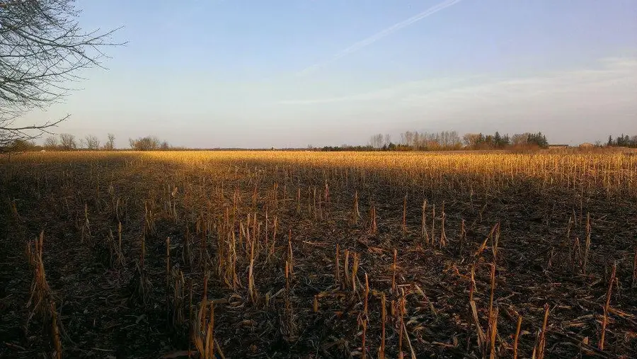 TBD 16-005-0102 Mille Lacs County, Princeton, MN 55371 - #2