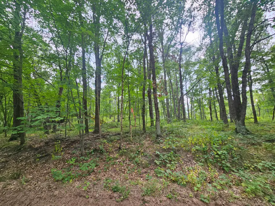 TBD Tract B Richfield Road Sw, Pillager, MN 56473 - #3
