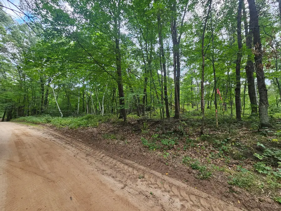 TBD Tract C Richfield Road Sw, Pillager, MN 56473 - #2