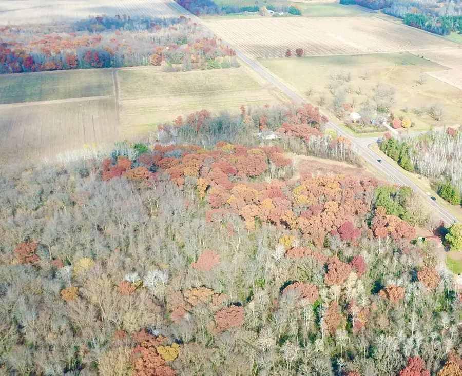 TBD 165th Avenue Se, Santiago, MN 55319 - #3