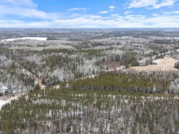 3XXX County Road 904, Babbitt, MN 55706