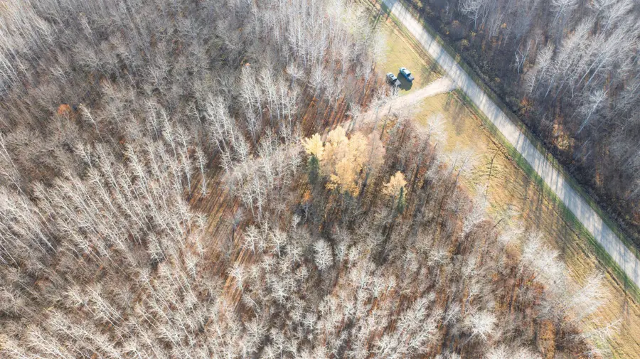 11680 County 59 Road, Orr, MN 55771 - #2