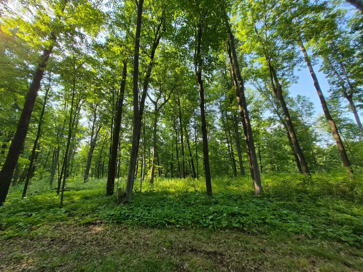 3391 30th Street, Frederic, WI 54837 - #1