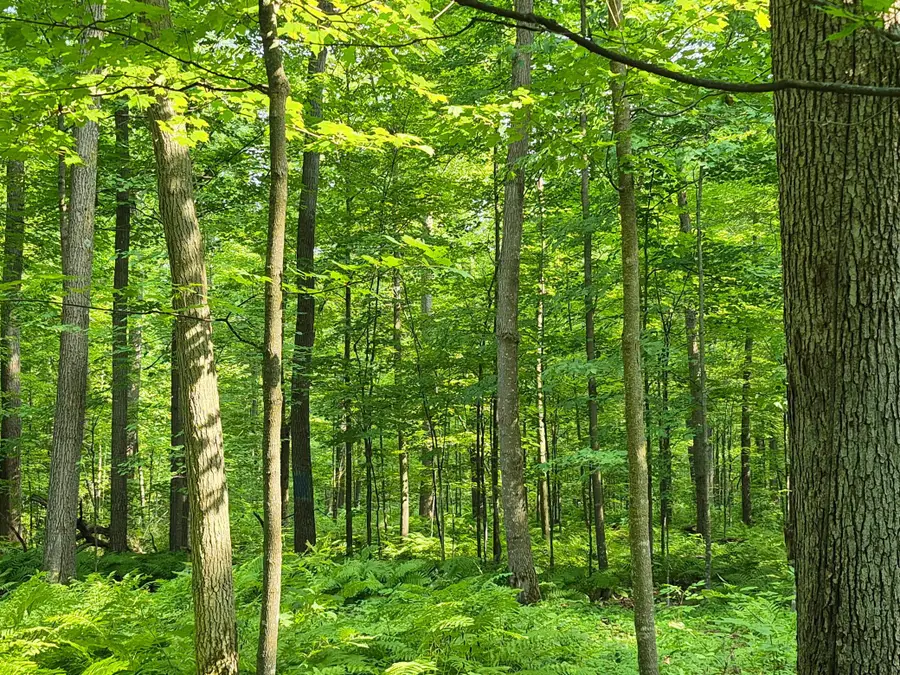 3391 30th Street, Frederic, WI 54837 - #2