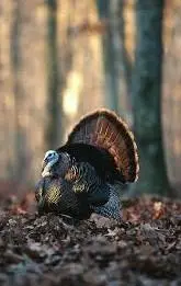 3391 30th Street, Frederic, WI 54837 - #3