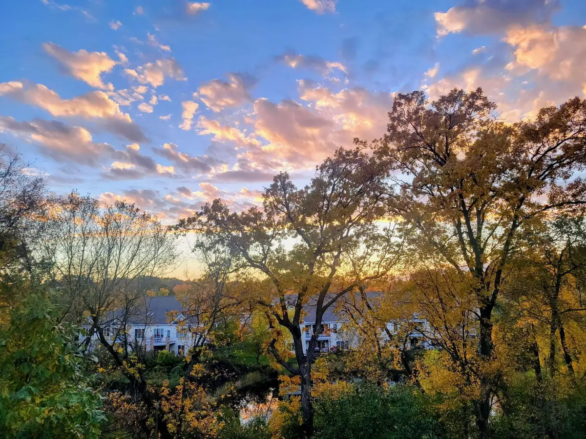 1454 Steeplechase Lane #18, Eagan, MN 55122 - #1