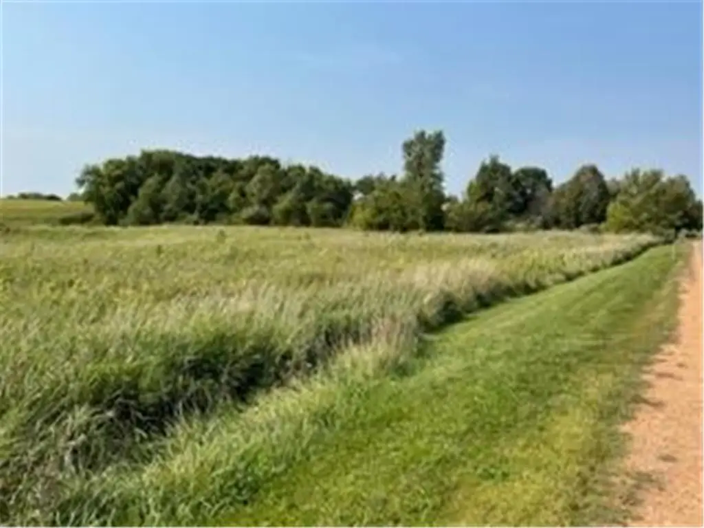 7815 Corcoran Trail W, Hamel, MN 55340 - #1