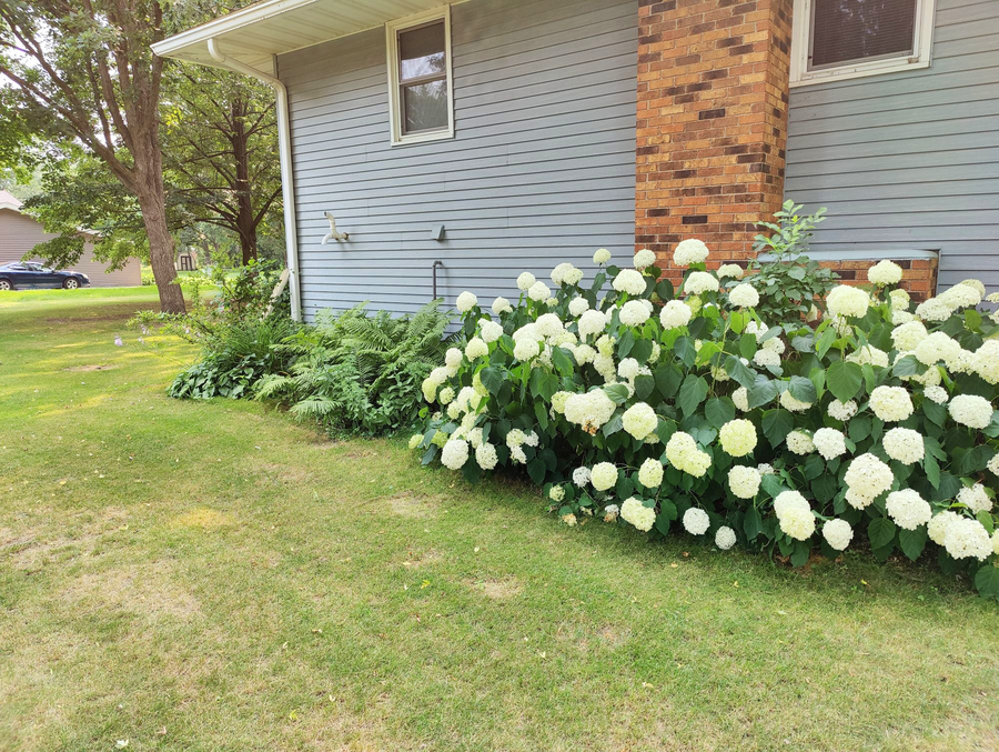 14597 Ryan Street, Little Falls, MN 56345 - #3