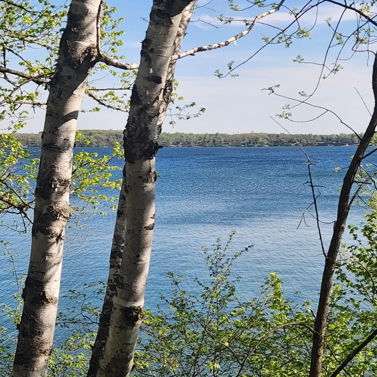 TBD Knollwood Lane, Pelican Rapids, MN 56572 - #1