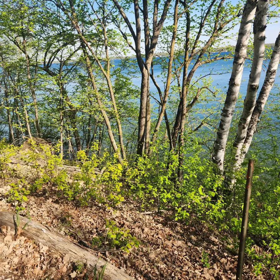 TBD Knollwood Lane, Pelican Rapids, MN 56572 - #3