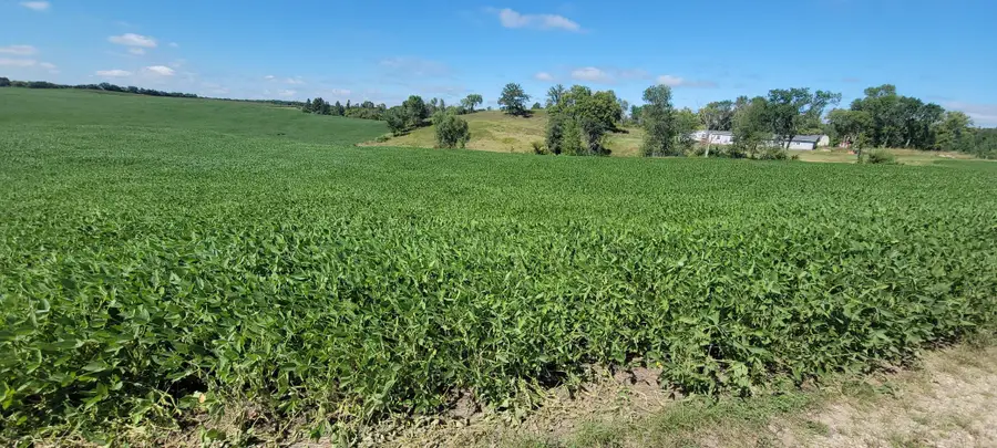 TBD County Highway 15, Detroit Lakes, MN 56501 - #2