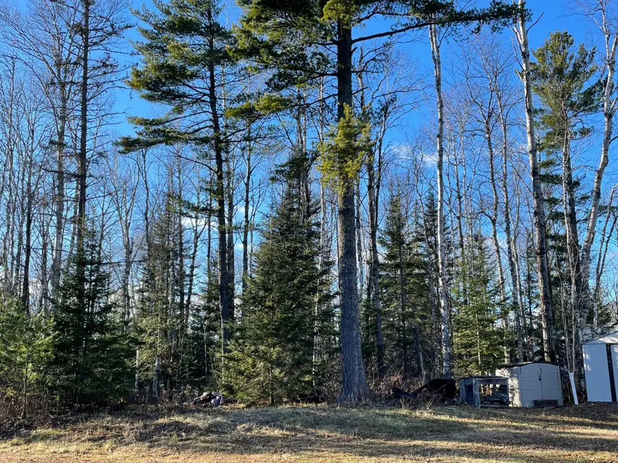 328 Ball Club Road, Grand Marais, MN 55604 - #3