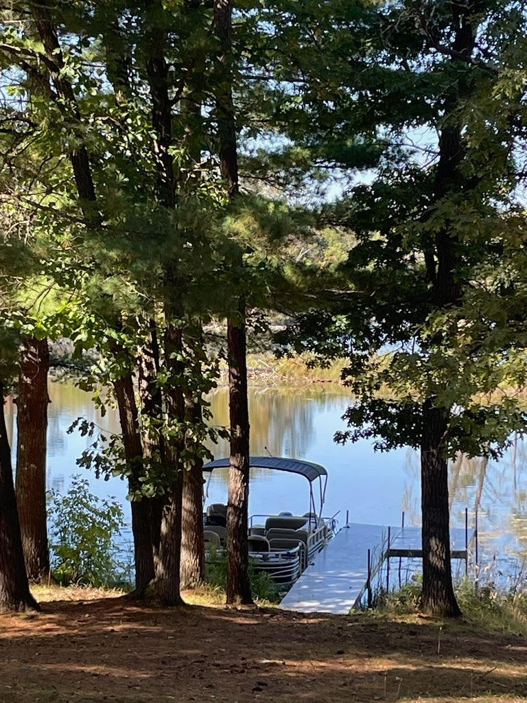 22175 Grand Pines Trail, Nevis, MN 56467 - #3