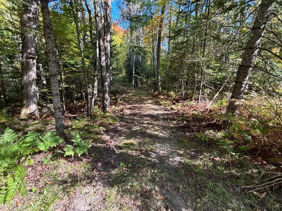 TBD North Sherrys Arm Road, Grand Rapids, MN 55744 - #2