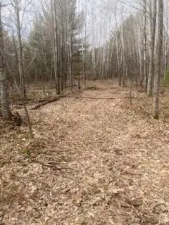 249xx Gile Road, Grantsburg, WI 54840 - #3