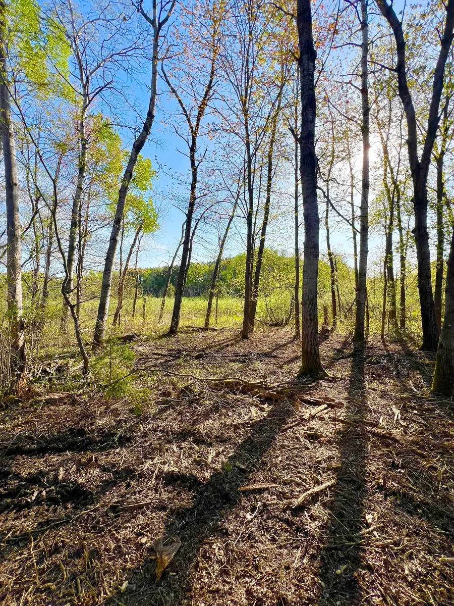 TBD Mallard Place, Sandstone, MN 55072 - #2