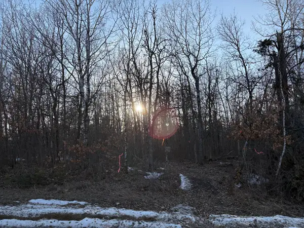 TBD Pincherry Ne, Bemidji, MN 56601