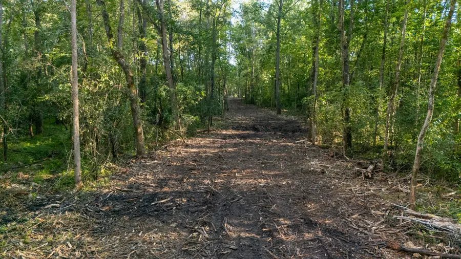 XXXX Greenwood Trail, Pine City, MN 55063 - #3