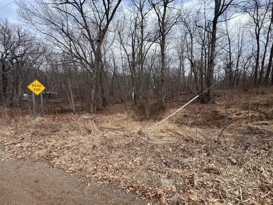 TBD Birdie Bend, Garrison, MN 56450 - #3