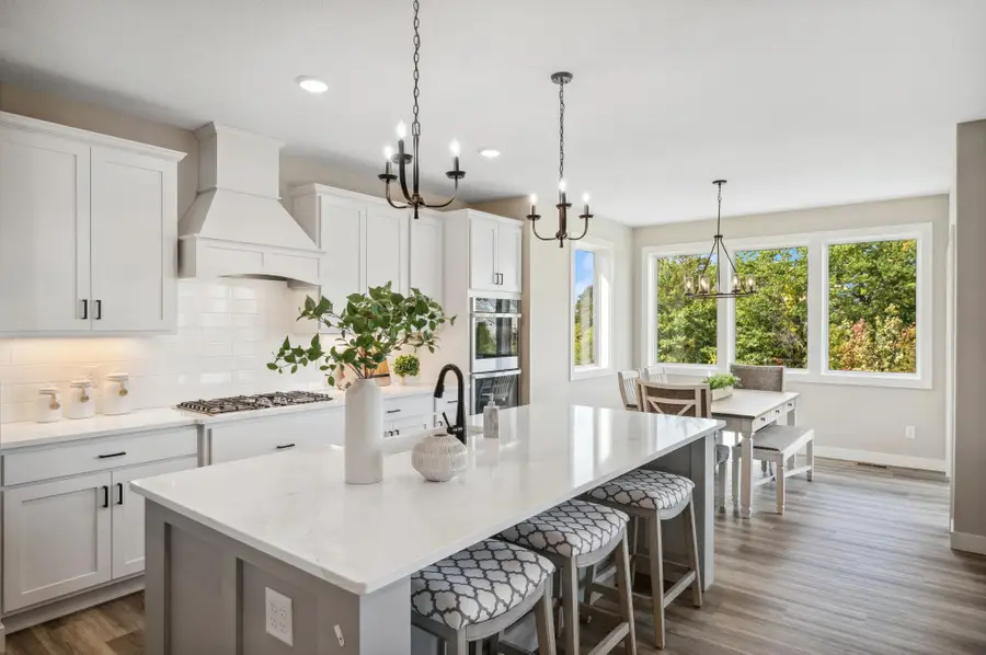 10190 Heather Lane, Corcoran, MN 55374 - #3