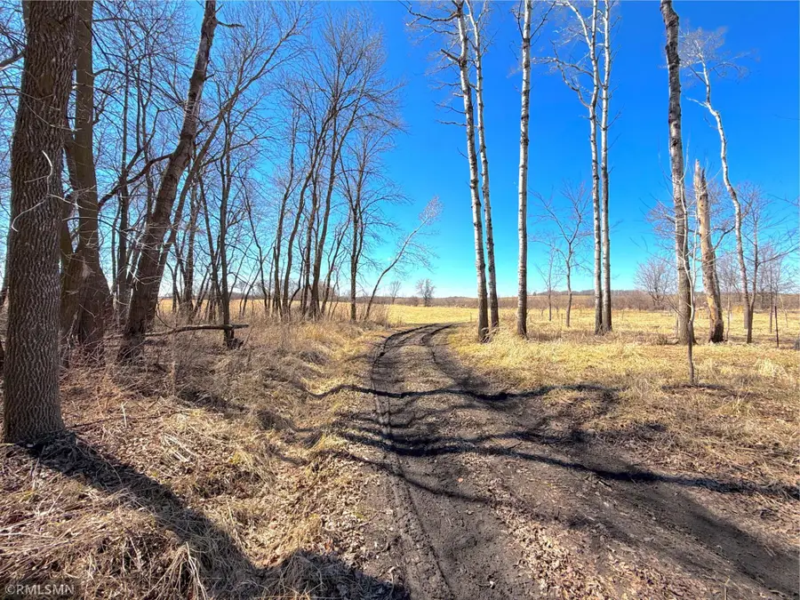 72XX County Road 5 Nw, Howard Lake, MN 55349 - #2