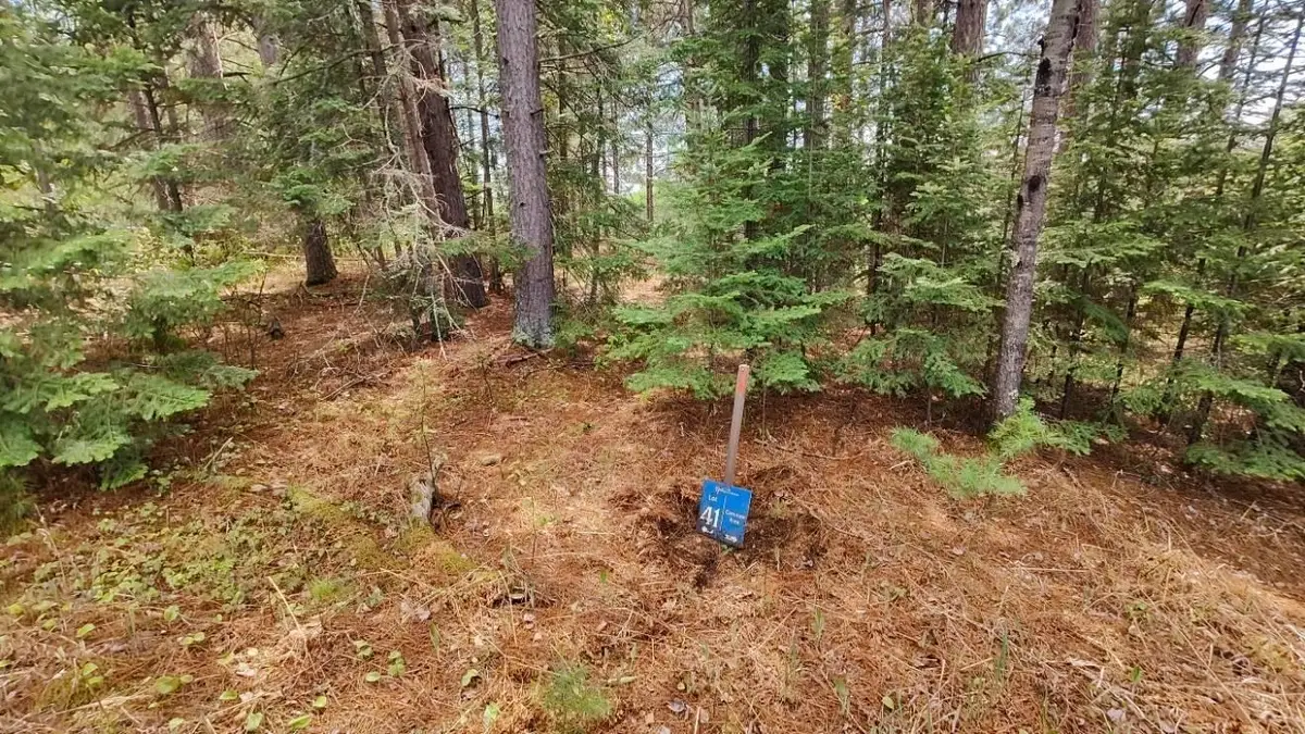 80064 Osprey Pass, Tower, MN 55790 - #1