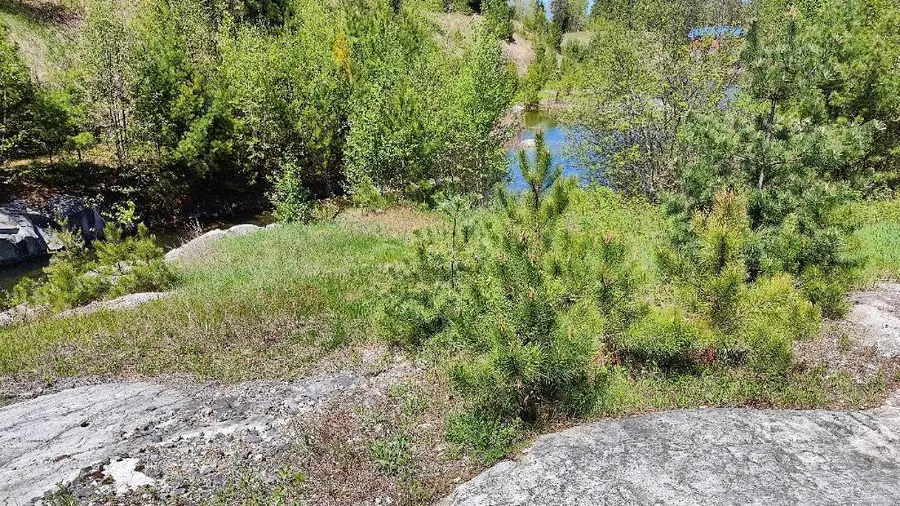 80036 Sweet Fern Loop, Tower, MN 55790 - #3