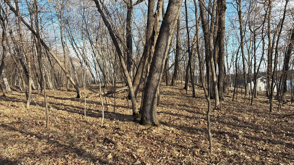 495XX Fish Lake Rd, Pelican Rapids, MN 56572 - #1