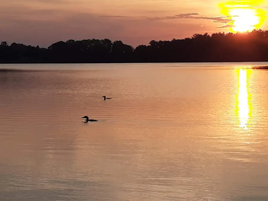 1327 Mahogany Street, Braham, MN 55006 - #3