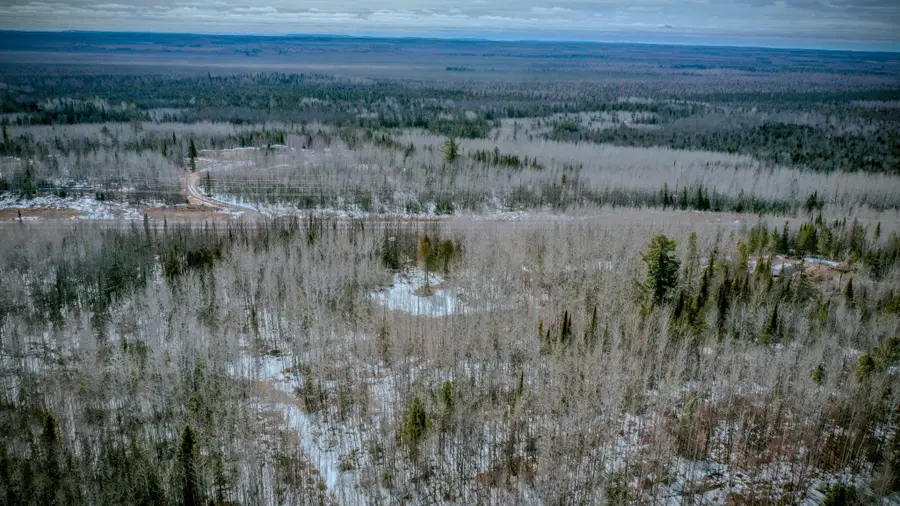 Parcel 12 TBD Hwy 115, Tower, MN 55790 - #3