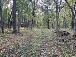 12216 Arcola Trail N, Stillwater, MN 55082