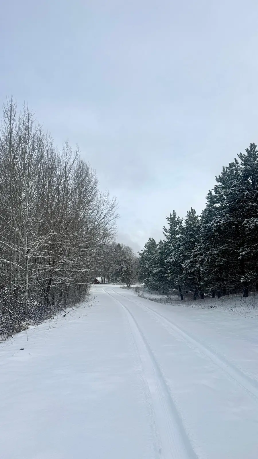 29284 Mchugh Road, Detroit Lakes, MN 56501 - #2