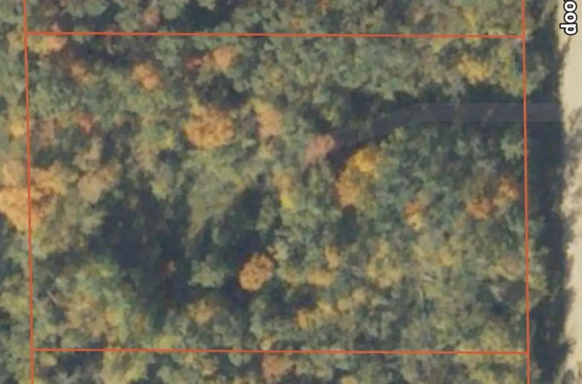 51265 Vagabond Loop, Bemidji, MN 56601 - #1