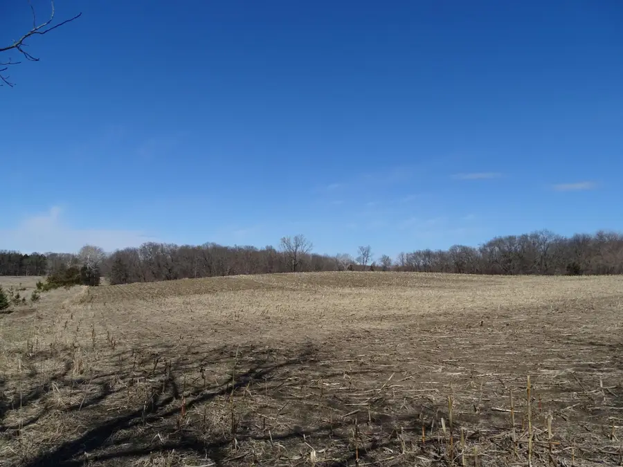 0000 160th Avenue, Maiden Rock, WI 54750 - #2